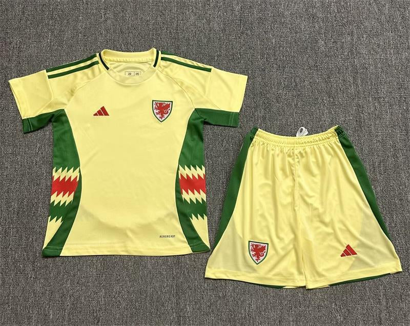 Maillot Enfant Pays De Galles euro 2024