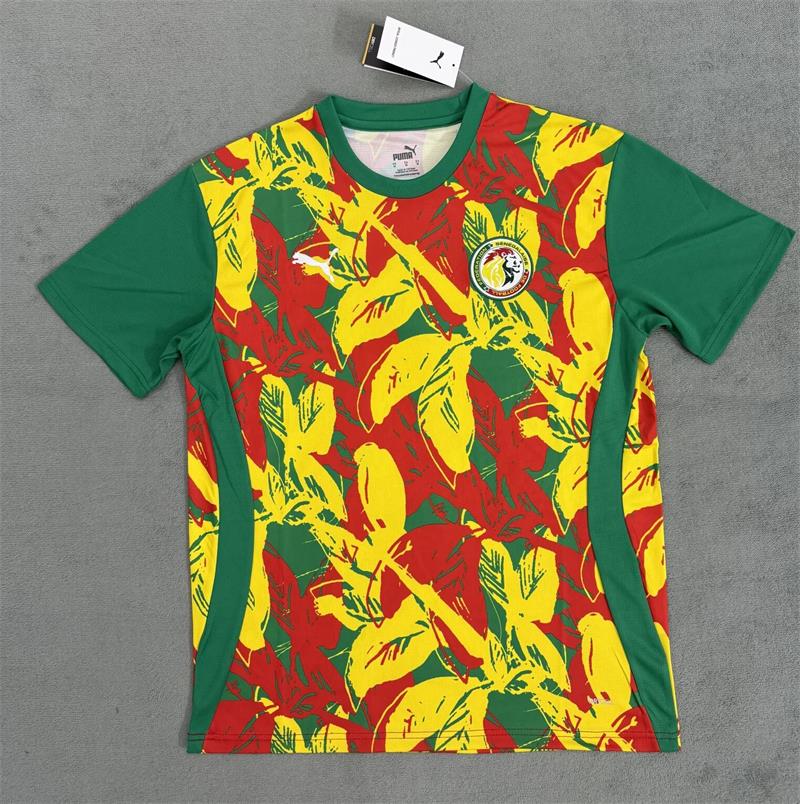 Maillot Sénégal 24-25