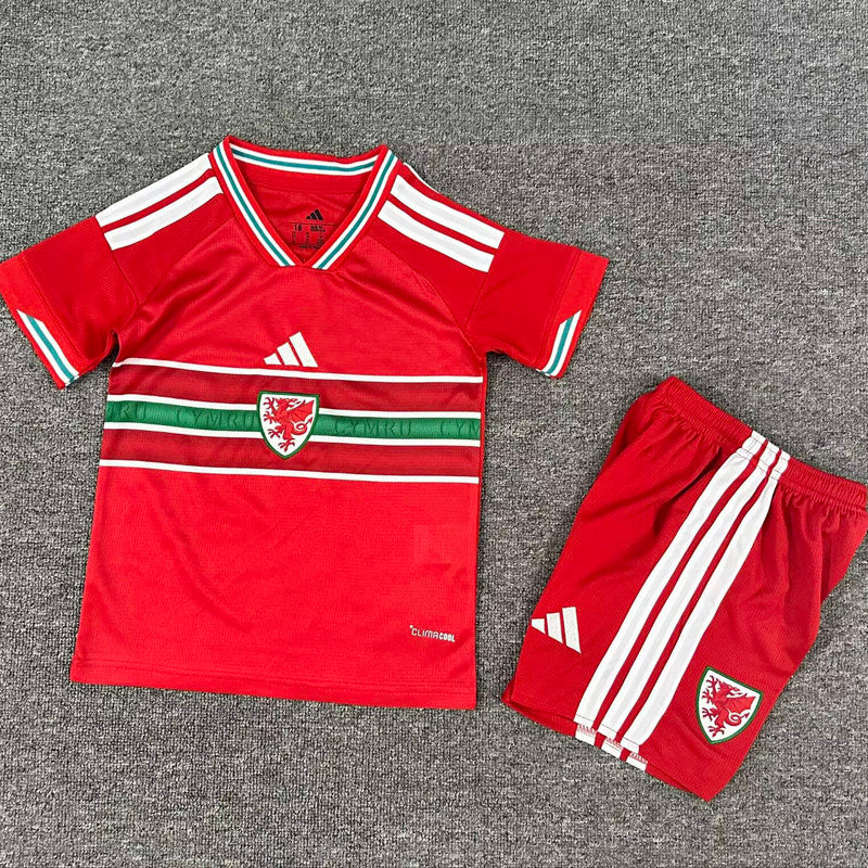 Maillot Enfant Pays De Galles 2026
