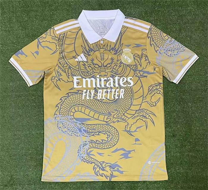 Maillot Entrainement Adulte Real Madrid FC 23-24